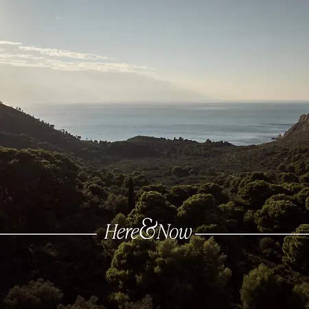 Kalas Seaview Residence, A Serene Sanctuary, By Thinkvilla Vila